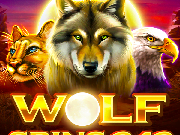 Wolf Spins 243